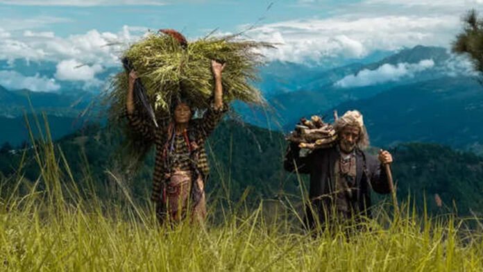 1200 675 22938333 698 22938333 1732084873830