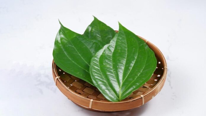 paan ke patte ke upay