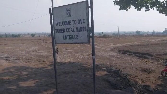 2955372858bf65929f5a4b3f5750c32e 1088975322