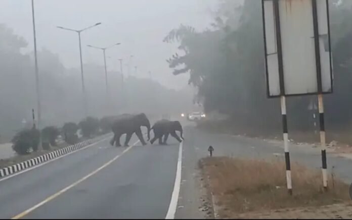 29984616187610271d006889c38d39aa 1422374058