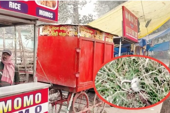 40f71a29f43cab8f12dc2244286c6b75 705568559