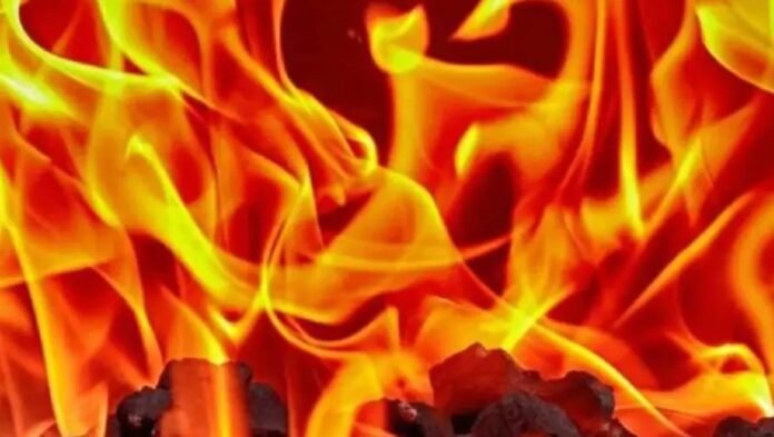 ab304b411262a1ebc9e06b4515b51a4e 1385835370