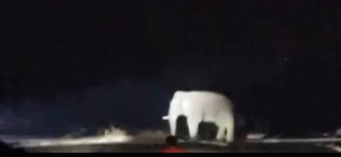 11c892917d78a541f55f83b06f1c51a7 55304577