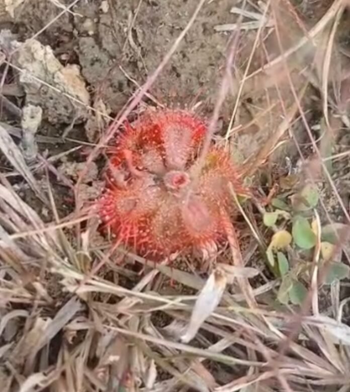 45b1fcbb1c7cc4aa7bdc4bcd0f111ee3 2087795646