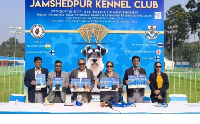 51e13b4387b8c64d4034ca5150175b9c 23088441