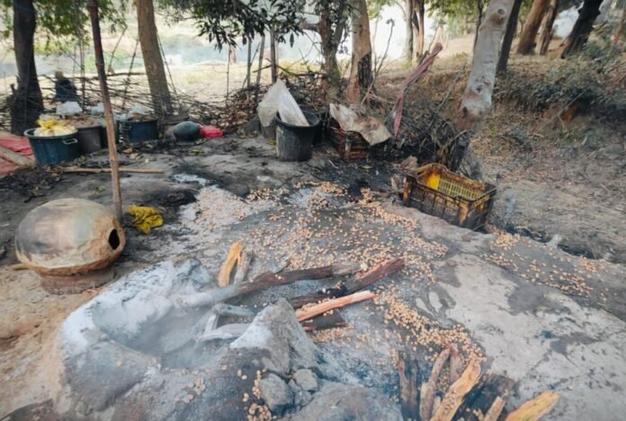 75100957db11c6dc2eba25722c27cb4e 748333301