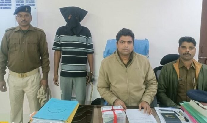 79955c336e07999c254f579db958c6a7 369372736