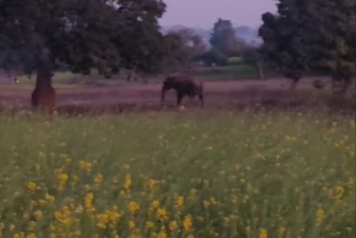 abd1f0e09539d4a06ca3041a17fbdae0 1741239857