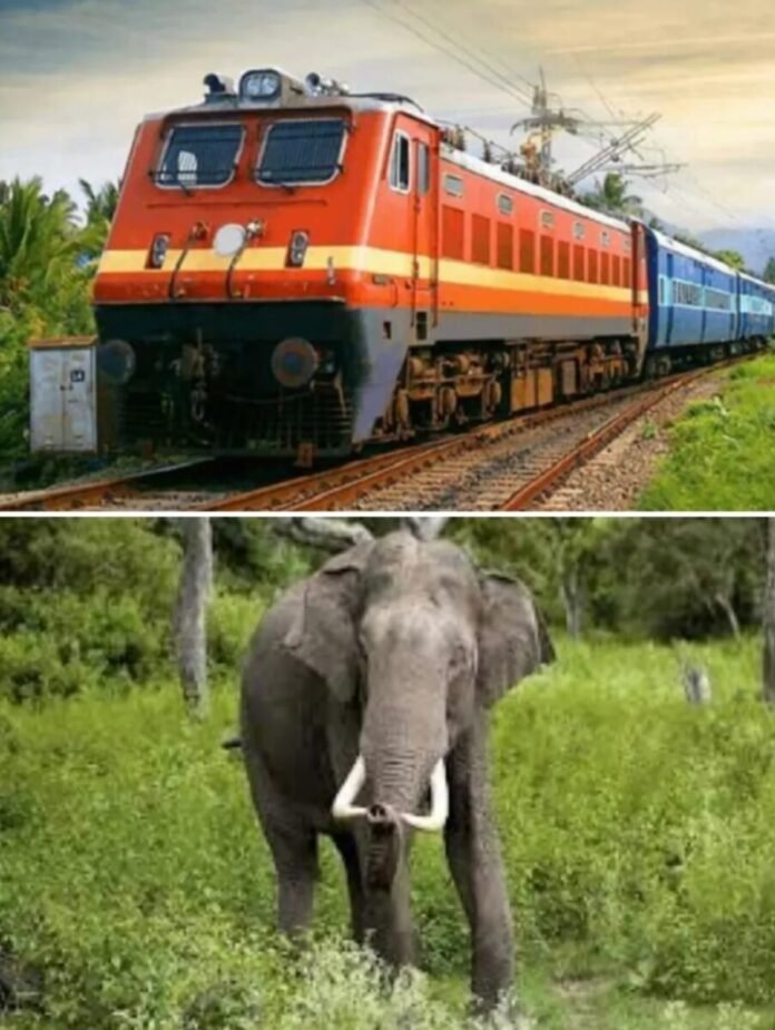 e98294cd4817cb084b84335f56c658c7 1716776678