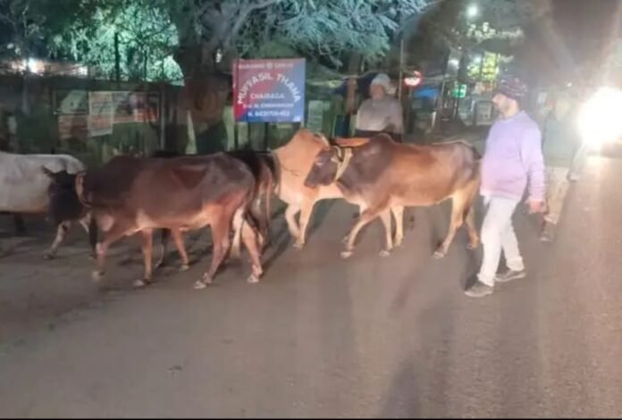 2699e90c36d63b76c20f7a2f02060553 1293047719