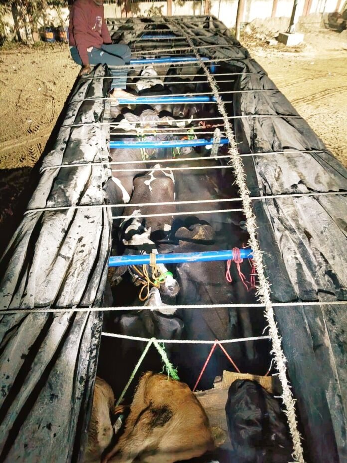 683320daaa65ac9af857ce67214a0a20 1545175862