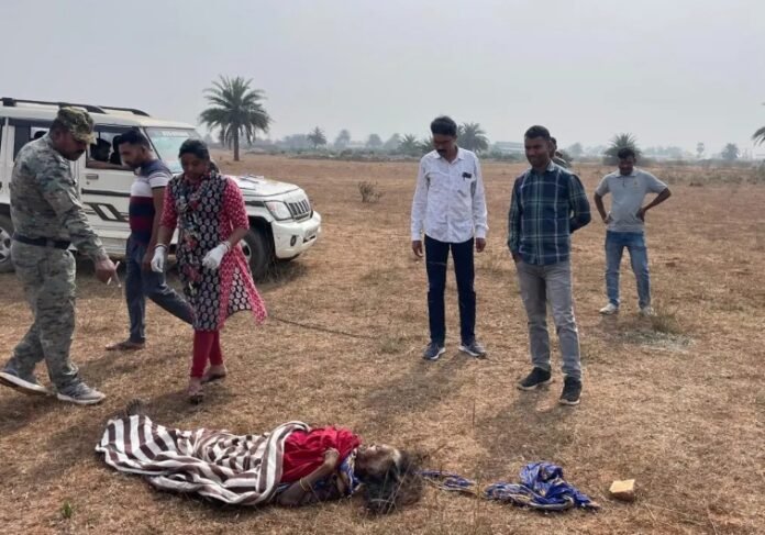 a294f134a226cd0cb9fc913330363666 1579730246