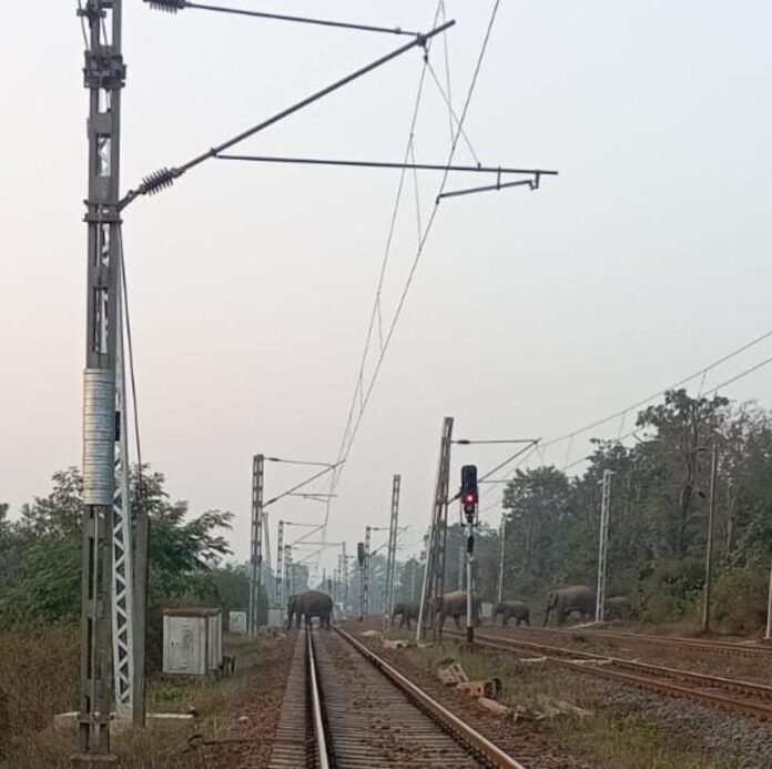 d426b2778b01fbc963ec5a7a0c4ae0f7 2121256099