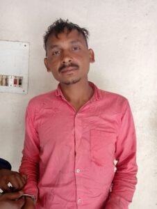 whatsapp image 2026 02 12 at 1.41.03 pm