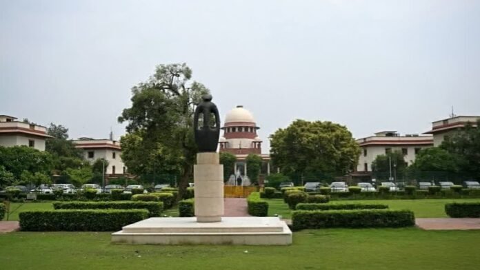 delhi