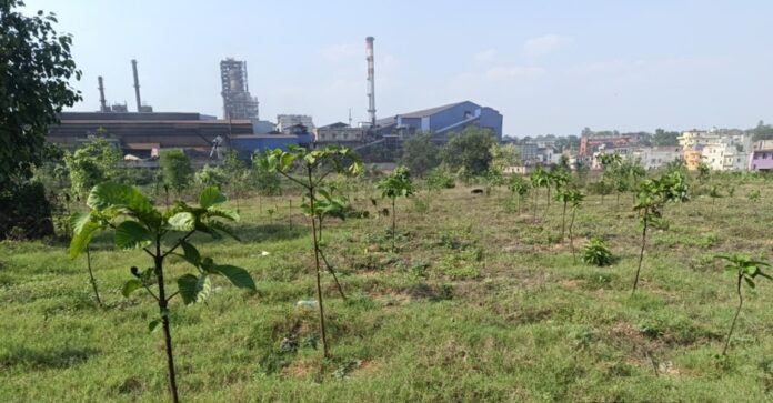 parya